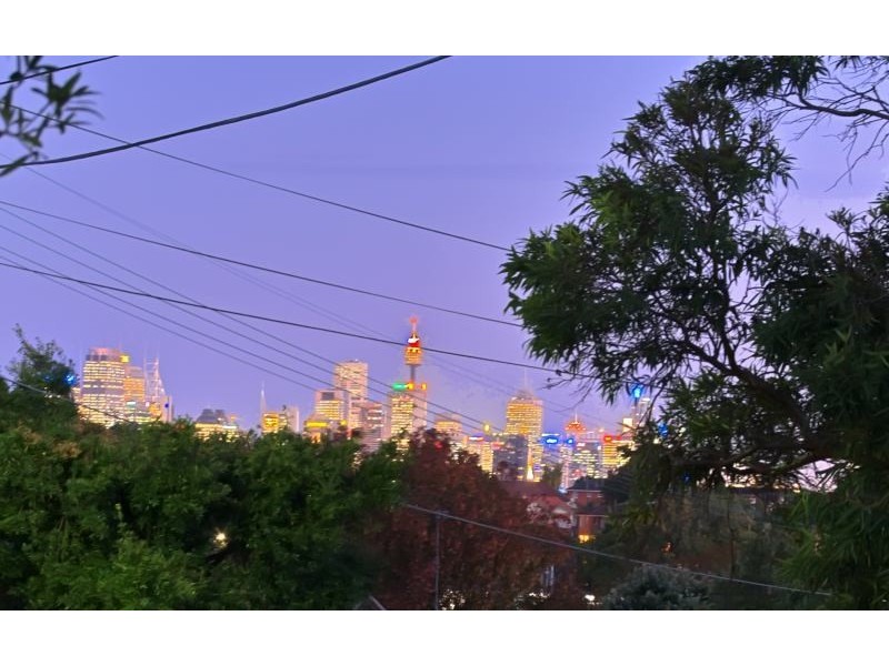 29  Berry Road, St Leonards NSW 2065