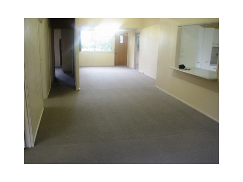 63  Longueval Street, Moorooka QLD 4105