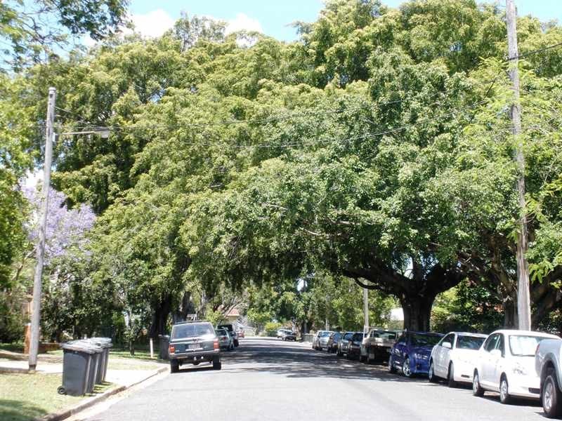 1/2 Blackburn Street, Moorooka QLD 4105