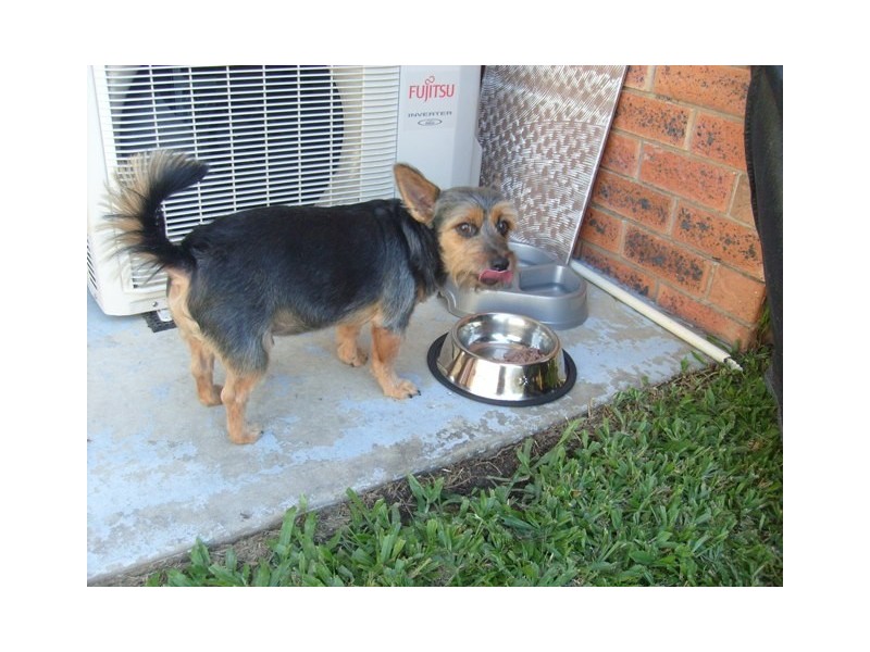 5/26  Hawtree Street, Moorooka QLD 4105