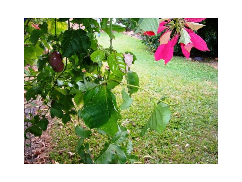 27 Emperor Street, Annerley QLD 4103