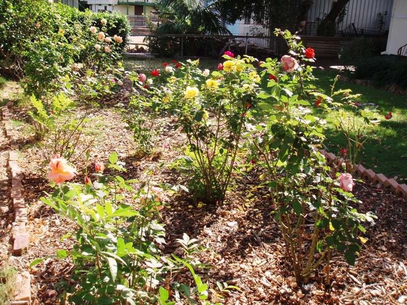 125 Medway Street, Rocklea QLD 4106