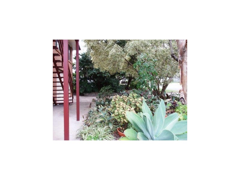 29  Highbury Street, Acacia Ridge QLD 4110