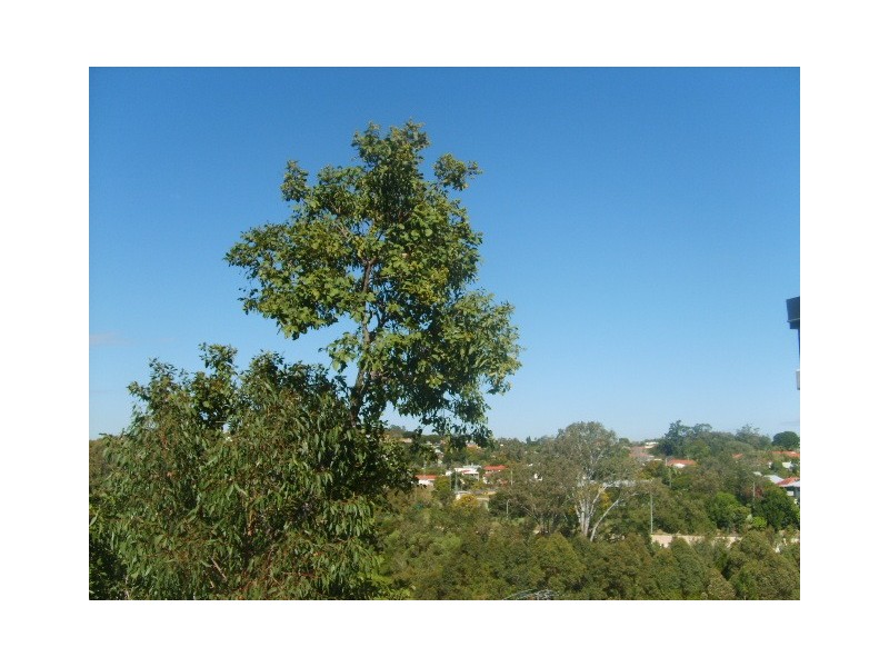 59 Roseglen Street, Greenslopes QLD 4120