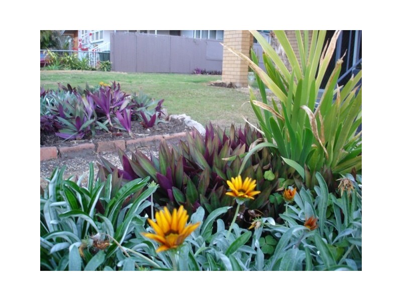 9  Desgrand Street, Archerfield QLD 4108