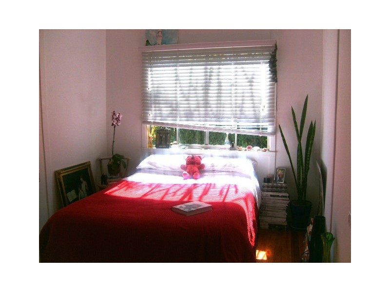 20 Pitt Street, Annerley QLD 4103