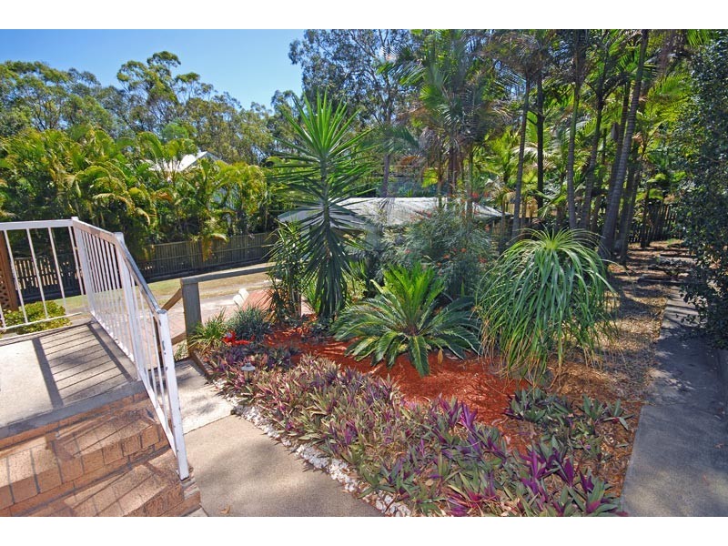 266 Oates Avenue, Holland Park QLD 4121