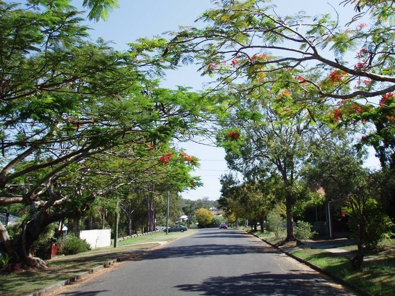 1  Laura Street, Tarragindi QLD 4121