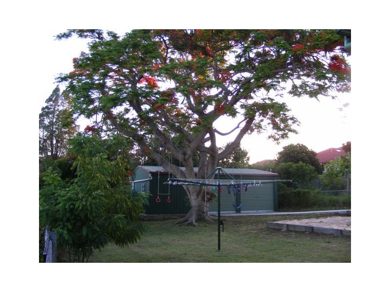 28 Dinmore Street, Moorooka QLD 4105