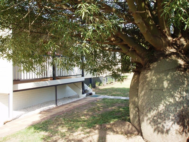 29  Kine Street, Moorooka QLD 4105