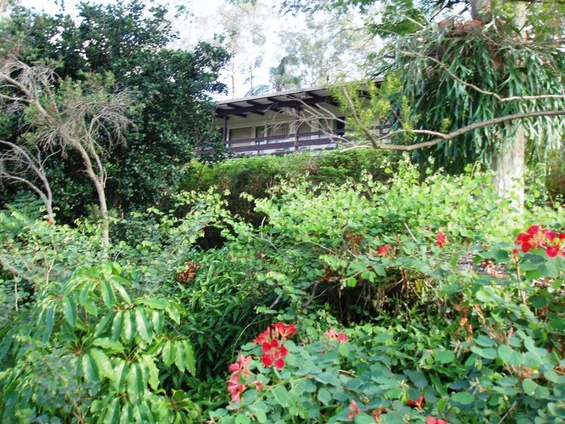 1  Moriac Street, Moorooka QLD 4105