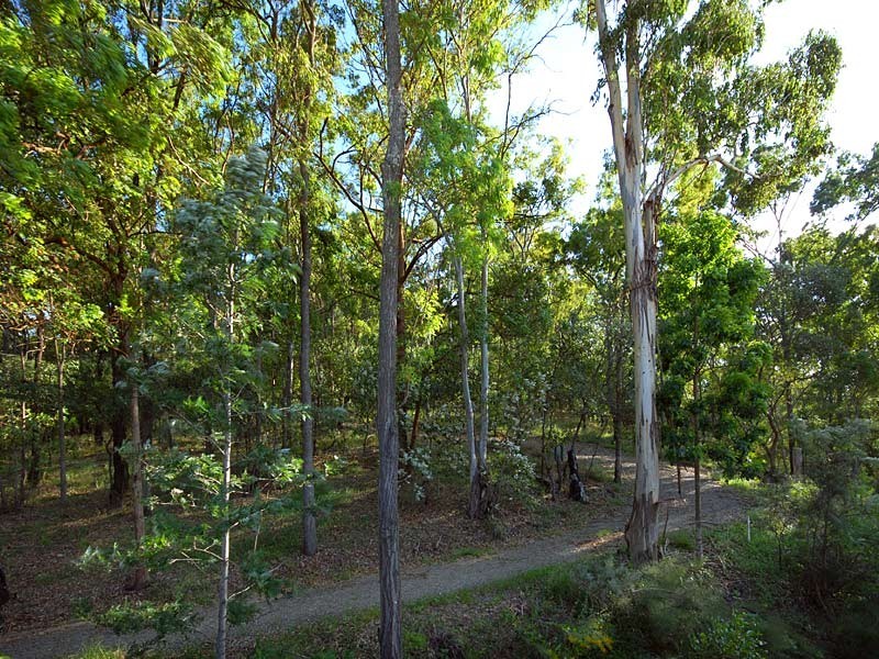 16  Tamarang Street, Tarragindi QLD 4121