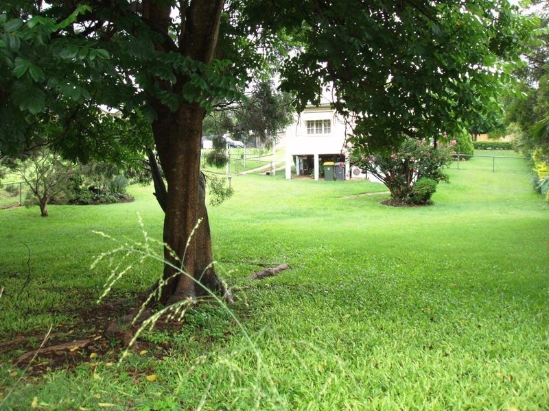 19 Manson Parade, Yeronga QLD 4104