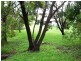 19 Manson Parade, Yeronga QLD 4104