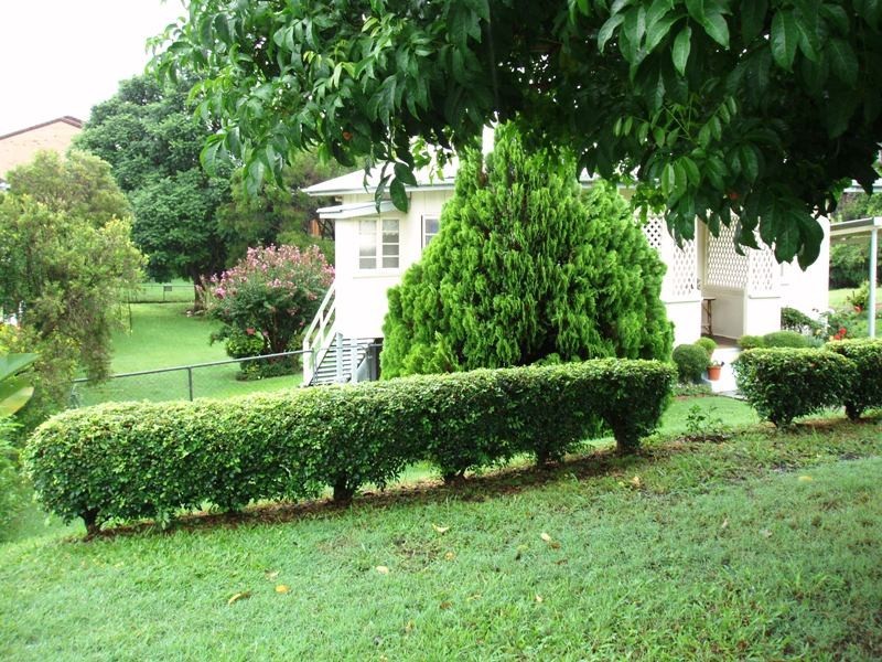 19 Manson Parade, Yeronga QLD 4104