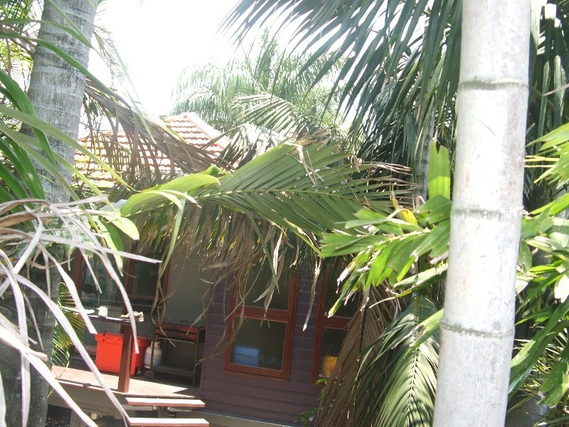 36  Muriel Avenue, Moorooka QLD 4105