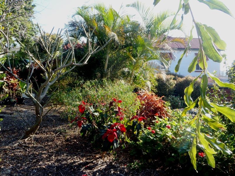 12 Pallaranda Street, Tarragindi QLD 4121