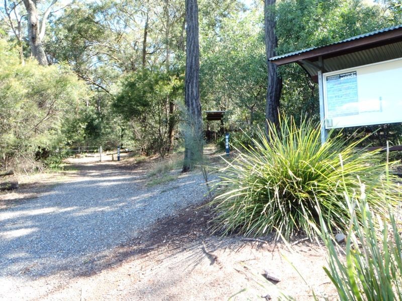 12 Pallaranda Street, Tarragindi QLD 4121