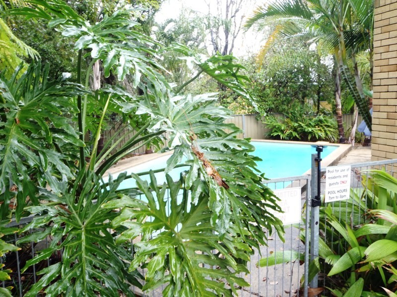 4/371 Cornwall Street, Greenslopes QLD 4120