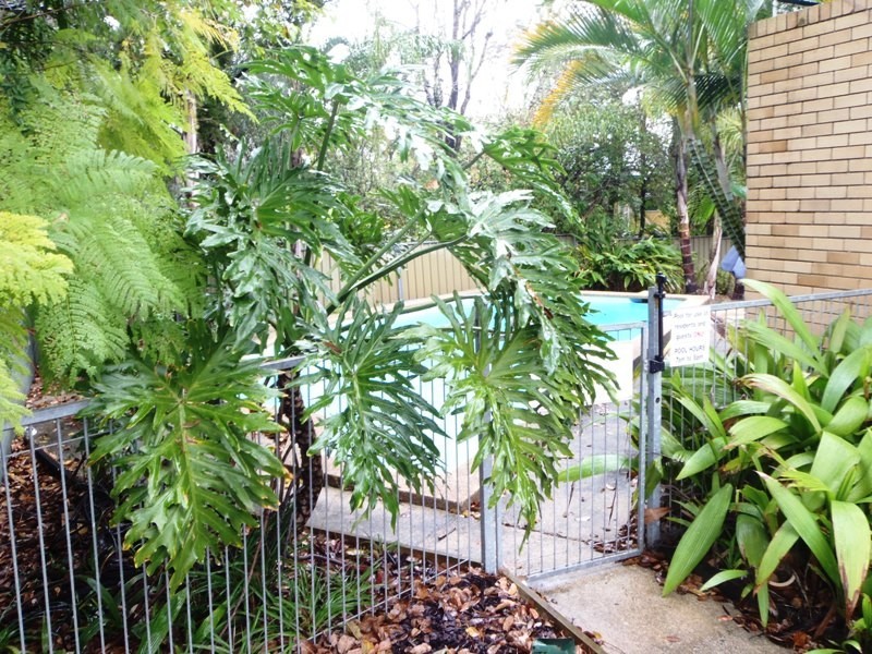 4/371 Cornwall Street, Greenslopes QLD 4120