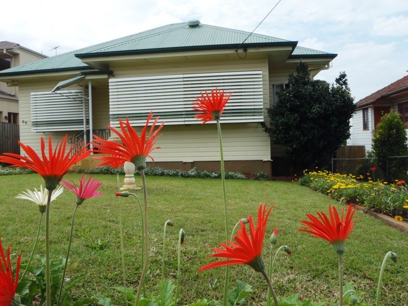 68 Mayfield Road, Moorooka QLD 4105