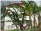 263 Mortimer Road, Acacia Ridge QLD 4110