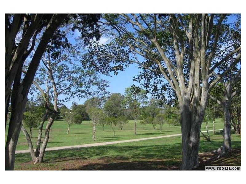 41  Waratah Avenue, Graceville QLD 4075