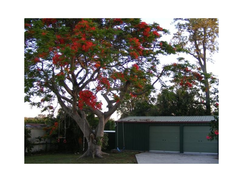 28 Dinmore Street, Moorooka QLD 4105