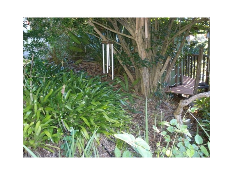 31 ONeill Street, Moorooka QLD 4105