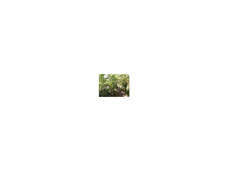 388  Beaudesert Road, Moorooka QLD 4105