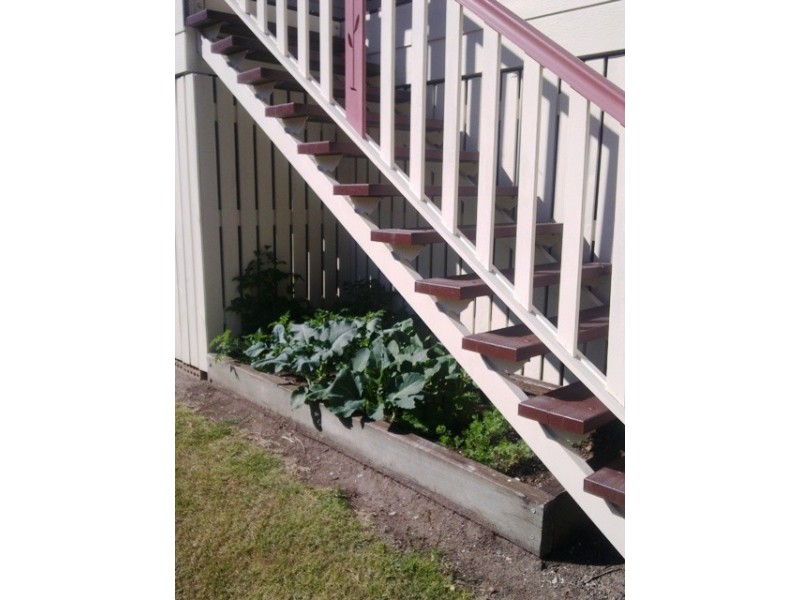 6 Bunya Close, Seventeen Mile Rocks QLD 4073