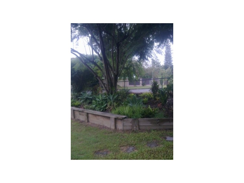 7 Whittle Street, Moorooka QLD 4105