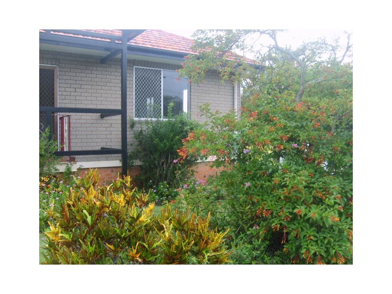 61 Helles Street, Moorooka QLD 4105