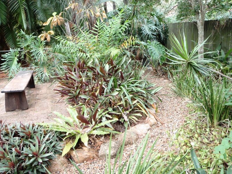 19 La Monte Street, Moorooka QLD 4105