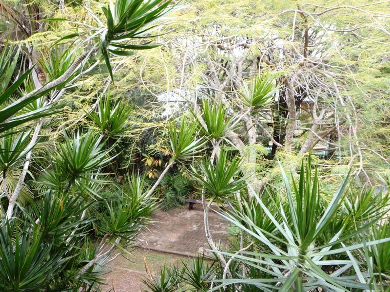 19 La Monte Street, Moorooka QLD 4105