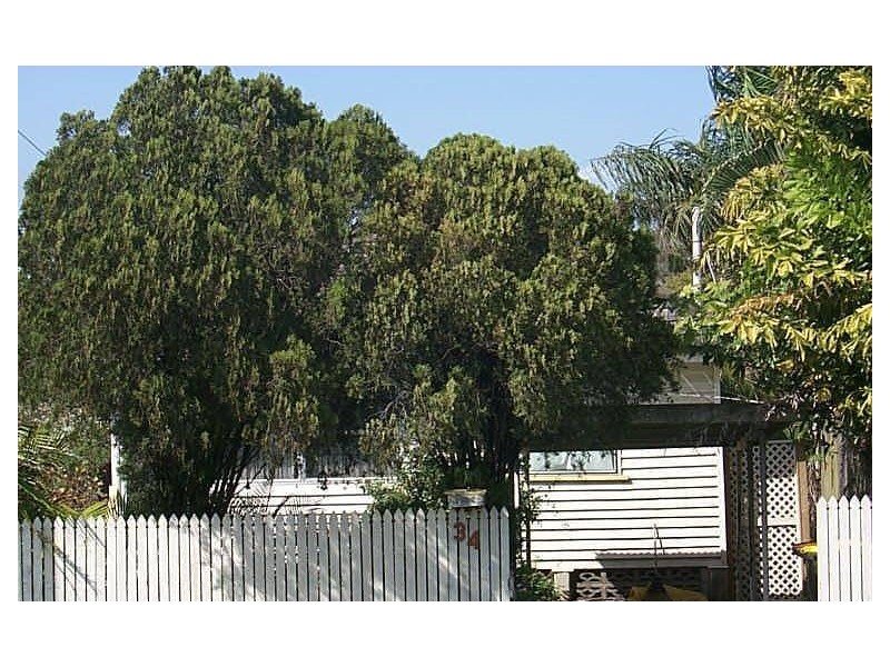 34  Muriel Avenue, Moorooka QLD 4105