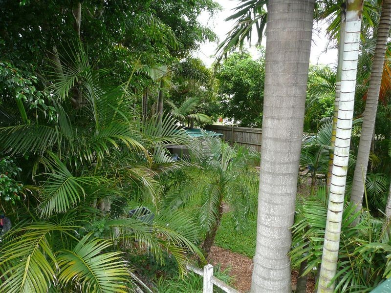 34  Muriel Avenue, Moorooka QLD 4105