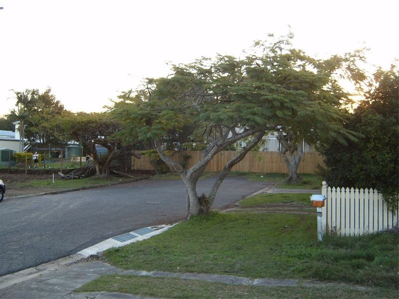 57  Soden Street, Yeerongpilly QLD 4105