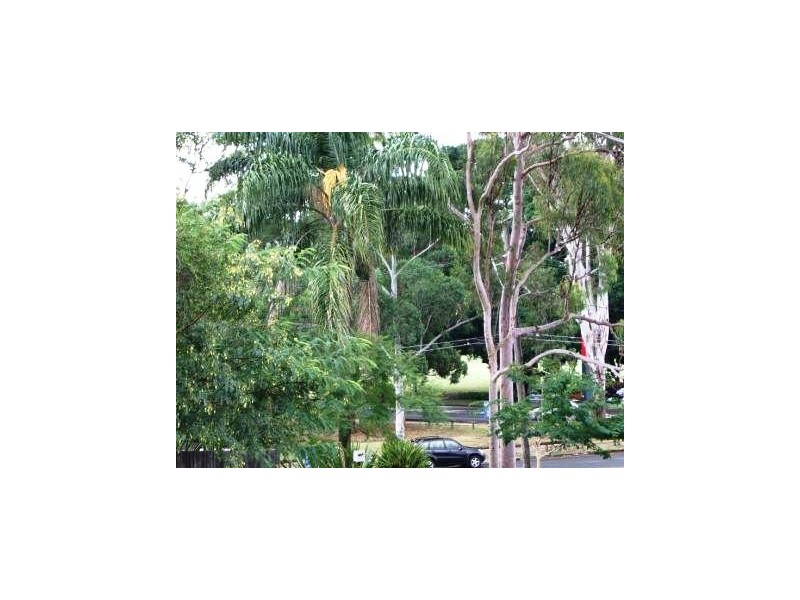 10  Garden Street, Greenslopes QLD 4120