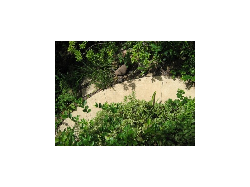 88  Cracknell Road, Annerley QLD 4103