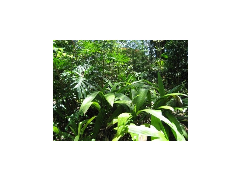 88  Cracknell Road, Annerley QLD 4103