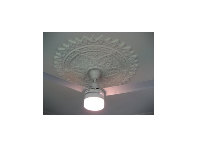 88  Cracknell Road, Annerley QLD 4103