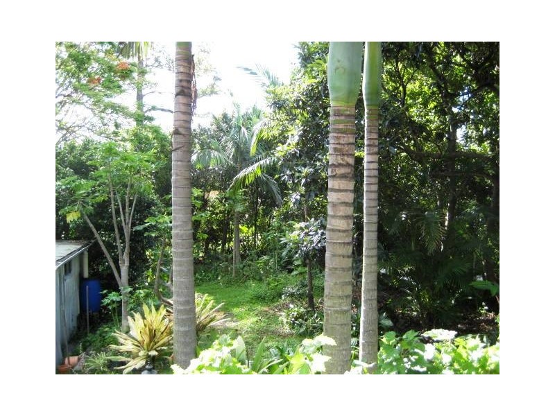 3  Robinson Street, Moorooka QLD 4105