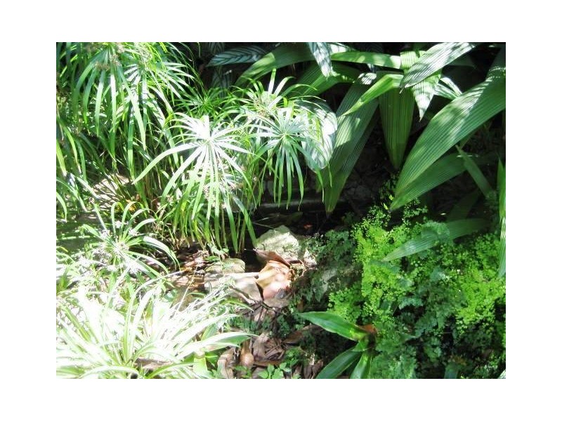 3  Robinson Street, Moorooka QLD 4105