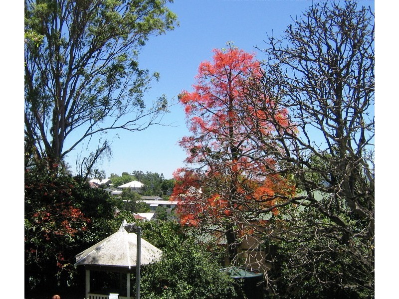 9/15 Waverley Street, Annerley QLD 4103