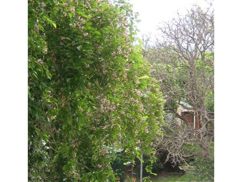 9/15 Waverley Street, Annerley QLD 4103