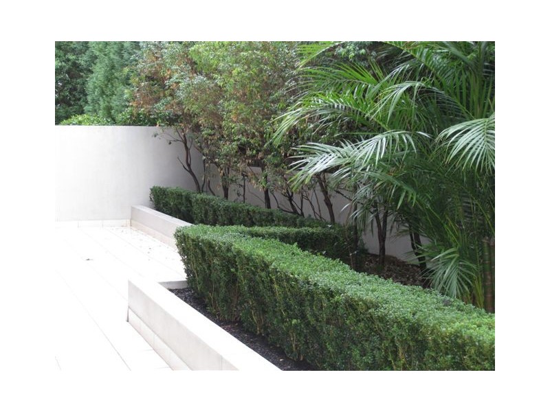 3/30 Birriga Road, Bellevue Hill NSW 2023