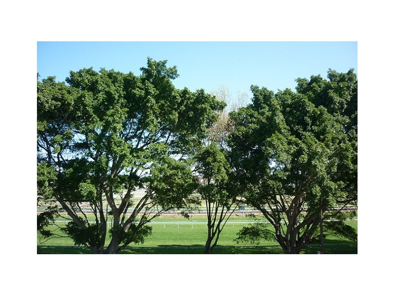 506/34 Alison Road, Randwick NSW 2031