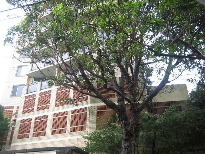 10/56 Birriga Road, Bellevue Hill NSW 2023