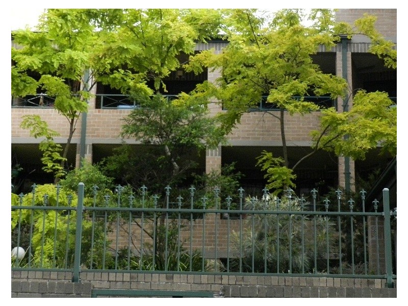 39 Dangar Place, Chippendale NSW 2008